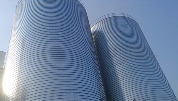 平坝2座混凝土高架卷板仓